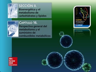 SECCIÓN II.
Bioenergética y el
metabolismo de
carbohidratos y lípidos
CAPÍTULO 16.
Perspectiva general del
metabolismo y el
suministro de
combustibles metabólicos
 