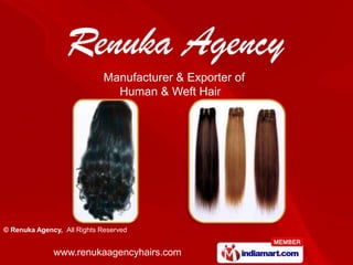 Manufacturer & Exporter of
                               Human & Weft Hair




© Renuka Agency, All Rights Reserved


              www.renukaagencyhairs.com
 