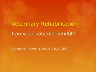 Veterinary Rehabilitation
Can your patients benefit?
Laura M. Perez, DVM, CVA, CCRT
 