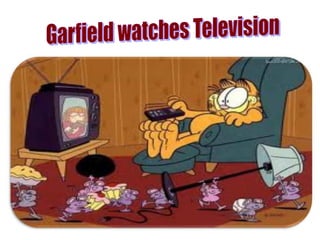  garfield's daily routine