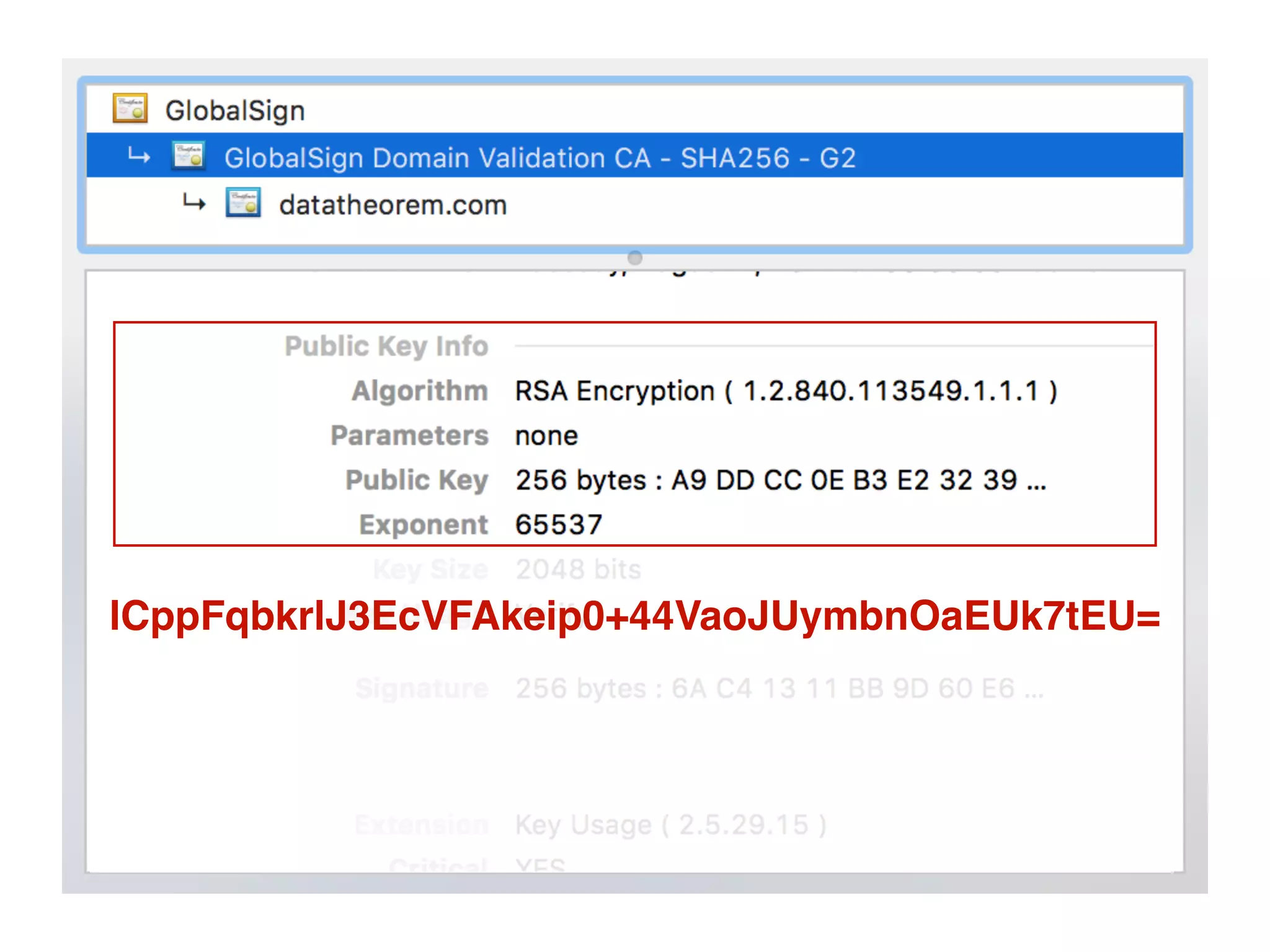 SSL Pinning
lCppFqbkrlJ3EcVFAkeip0+44VaoJUymbnOaEUk7tEU=
 