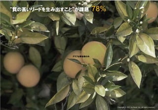 Confidential & Proprietary


         “質の高いリードを生み出すこと”が課題                                                                    78%




                                                                                    グラフは参加者のみ




This document may contain confidential and proprietary information to Nexal, Inc.                     Copyright © 2011 by Nexal, Inc. All rights reserved.
 