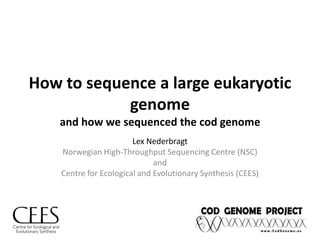 How to sequence a large eukaryotic genomeand how we sequenced the cod genome Lex Nederbragt Norwegian High-Throughput Sequencing Centre (NSC) and Centre for Ecological and Evolutionary Synthesis (CEES) 