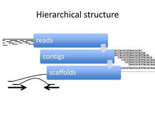 Hierarchical structure