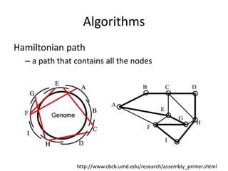 AlgorithmsHamiltonian patha path that contains all the nodeshttp://www.cbcb.umd.edu/research/assembly_primer.shtml