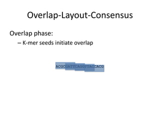 Overlap-Layout-ConsensusOverlap phase:K-mer seeds initiate overlapACGCGATTCAGGTTACCACG