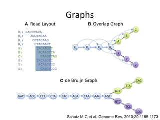 GraphsSchatz M C et al. Genome Res. 2010;20:1165-1173