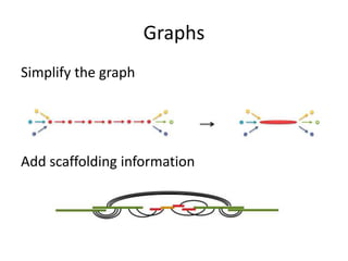 GraphsSimplify the graphAdd scaffolding information