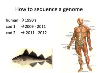 How to sequence a genomehuman	1990'scod 1		2009 - 2011cod 2		 2011 - 2012