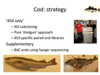 Cod: strategy‘454 only’NO subcloningPure ‘shotgun’ approach454 specific paired end librariesSupplementaryBAC ends using Sanger sequencing