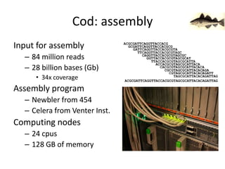 Cod: assemblyInput for assembly84 million reads28 billion bases (Gb)34x coverageAssembly programNewbler from 454Celera from Venter Inst.Computing nodes24 cpus128 GB of memory