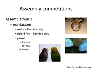 Assembly competitionsAssemblathon 2real datasetssnake – Illumina onlycichlid fish – Illumina onlyparrotIllumina454 FLX+PacBiohttp://assemblathon.org/