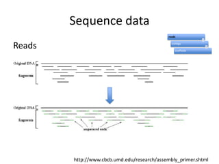 Sequence dataReadshttp://www.cbcb.umd.edu/research/assembly_primer.shtml