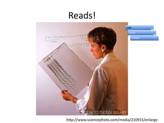 Reads!http://www.sciencephoto.com/media/210915/enlarge