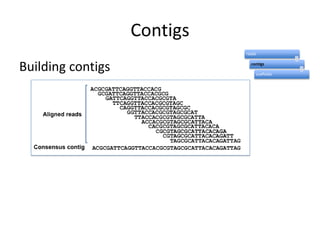 ContigsBuilding contigs