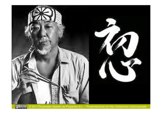 © 2011 Proyectalis Gestión de Proyectos S.L. – Presentaciones en http://slideshare.net/proyectalis
 