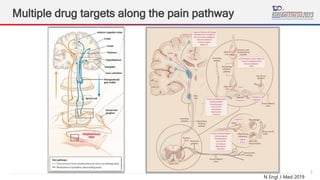 3
Multiple drug targets along the pain pathway
N Engl J Med 2019
 