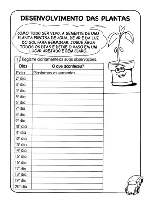 110 atividades de ciências 1ª e 2ª séries