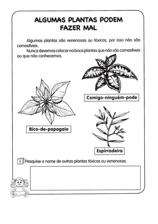 110 atividades de ciências 1ª e 2ª séries