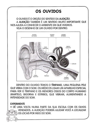 110 atividades de ciências 1ª e 2ª séries