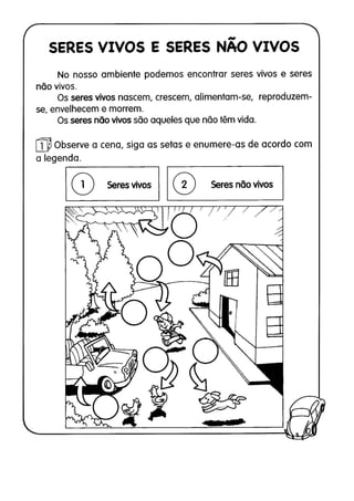 110 atividades de ciências 1ª e 2ª séries