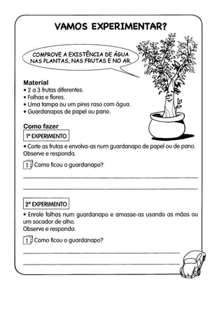 110 atividades de ciências 1ª e 2ª séries