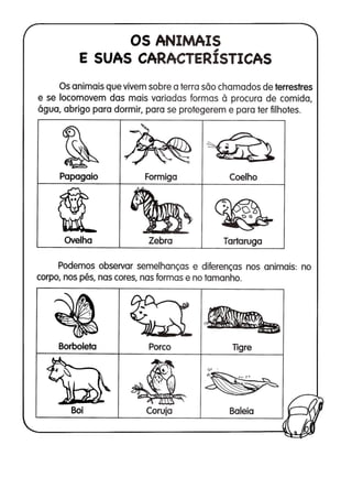 110 atividades de ciências 1ª e 2ª séries