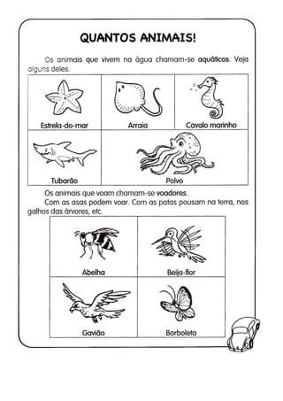110 atividades de ciências 1ª e 2ª séries