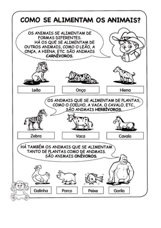 110 atividades de ciências 1ª e 2ª séries