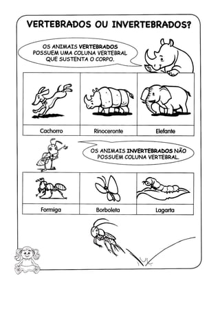 110 atividades de ciências 1ª e 2ª séries