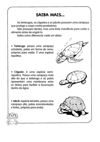 110 atividades de ciências 1ª e 2ª séries