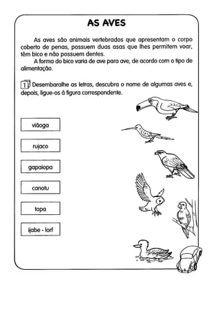 110 atividades de ciências 1ª e 2ª séries