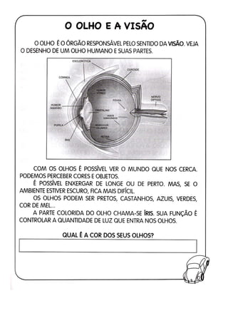 110 atividades de ciências 1ª e 2ª séries