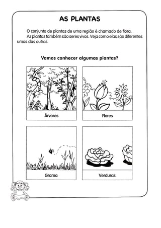 110 atividades de ciências 1ª e 2ª séries
