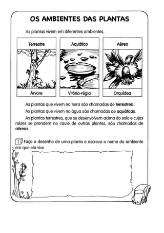 110 atividades de ciências 1ª e 2ª séries