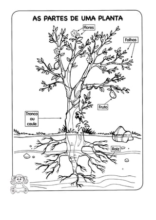 110 atividades de ciências 1ª e 2ª séries
