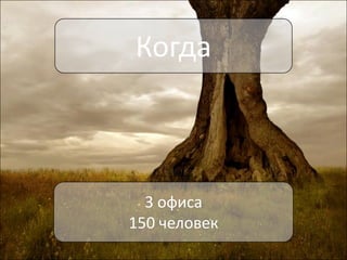 Когда

3 офиса
150 человек

 