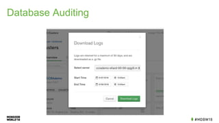 Database Auditing
 