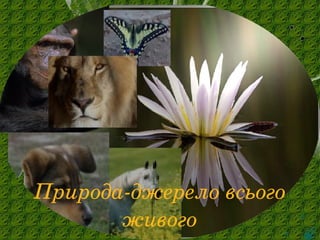 Природа­джерело всього 
живого
 