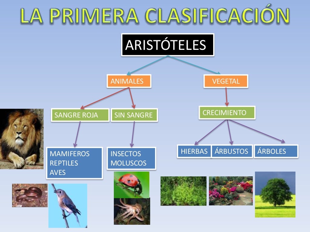 110 seres vivos agustin b
