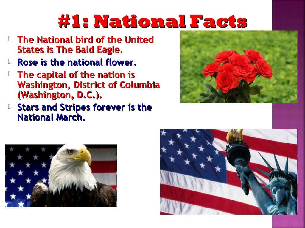 Amazing facts about the usa