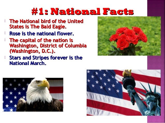 Amazing Facts About The Usa Amazing Facts About The Usa