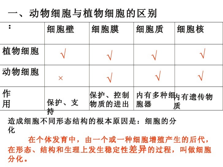 第二节细胞的多样性和统一性
