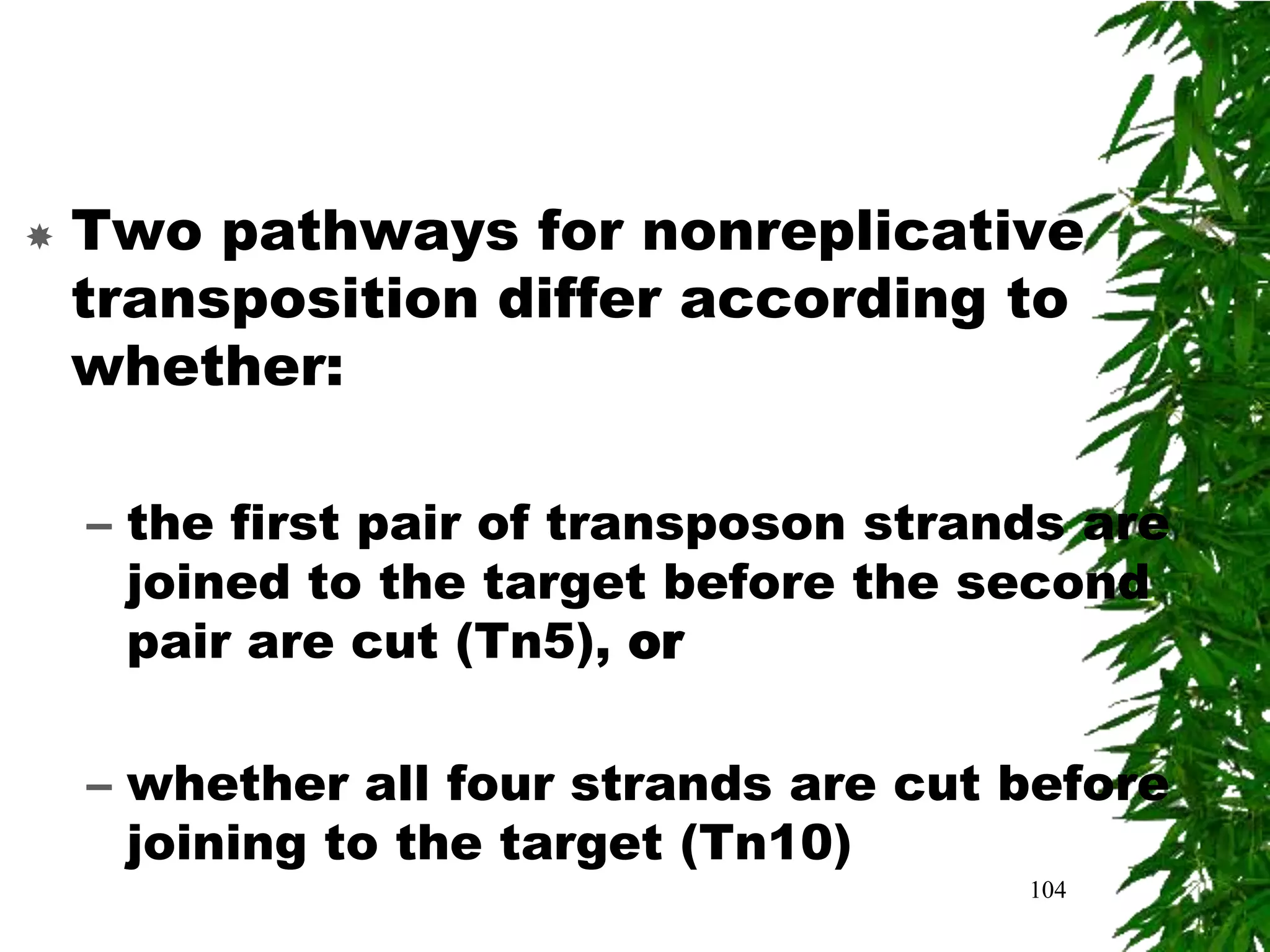    Two pathways for nonreplicative
    transposition differ according to
    whether:

    – the first pair of transposon strands are
      joined to the target before the second
      pair are cut (Tn5), or

    – whether all four strands are cut before
      joining to the target (Tn10)
                                        104
 