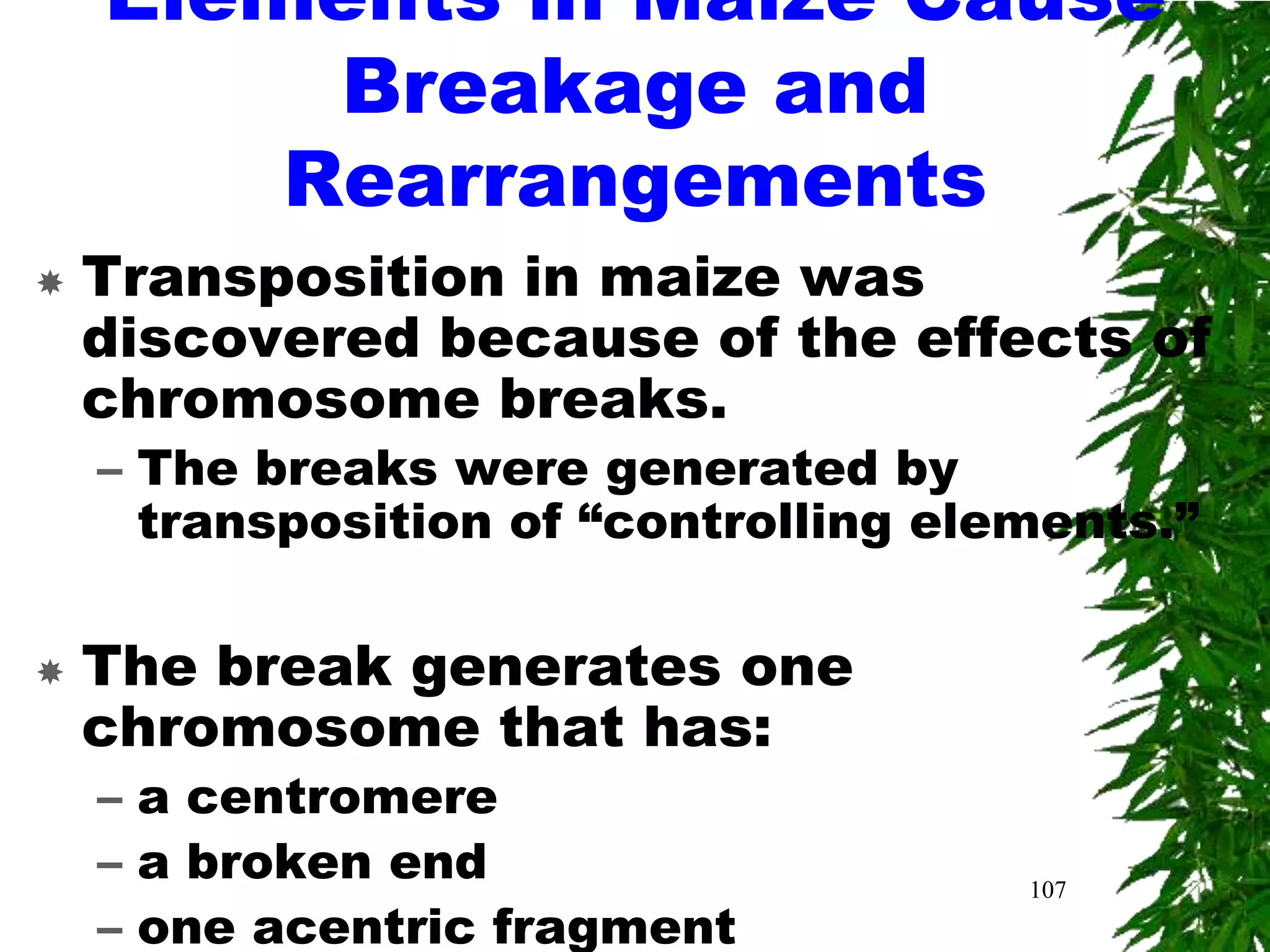 Elements in Maize Cause
         Breakage and
        Rearrangements
   Transposition in maize was
    discovered because of the effects of
    chromosome breaks.
    – The breaks were generated by
      transposition of “controlling elements.”

   The break generates one
    chromosome that has:
    – a centromere
    – a broken end                     107
    – one acentric fragment
 