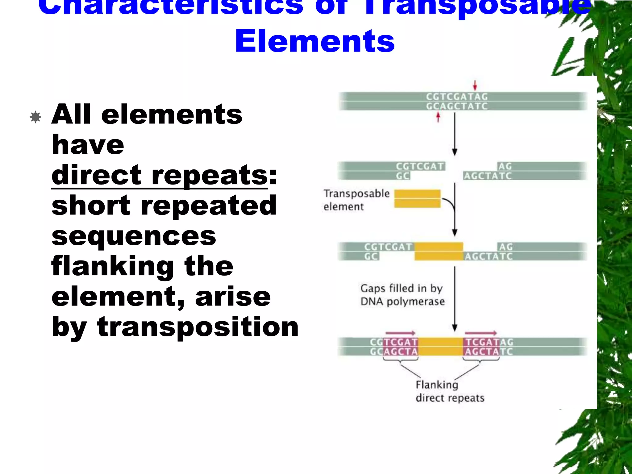 Characteristics of Transposable
           Elements

   All elements
    have
    direct repeats:
    short repeated
    sequences
    flanking the
    element, arise
    by transposition
 