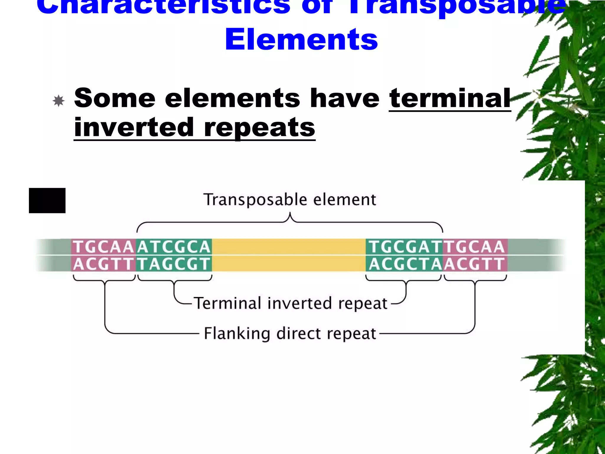 Characteristics of Transposable
           Elements
   Some elements have terminal
    inverted repeats
 
