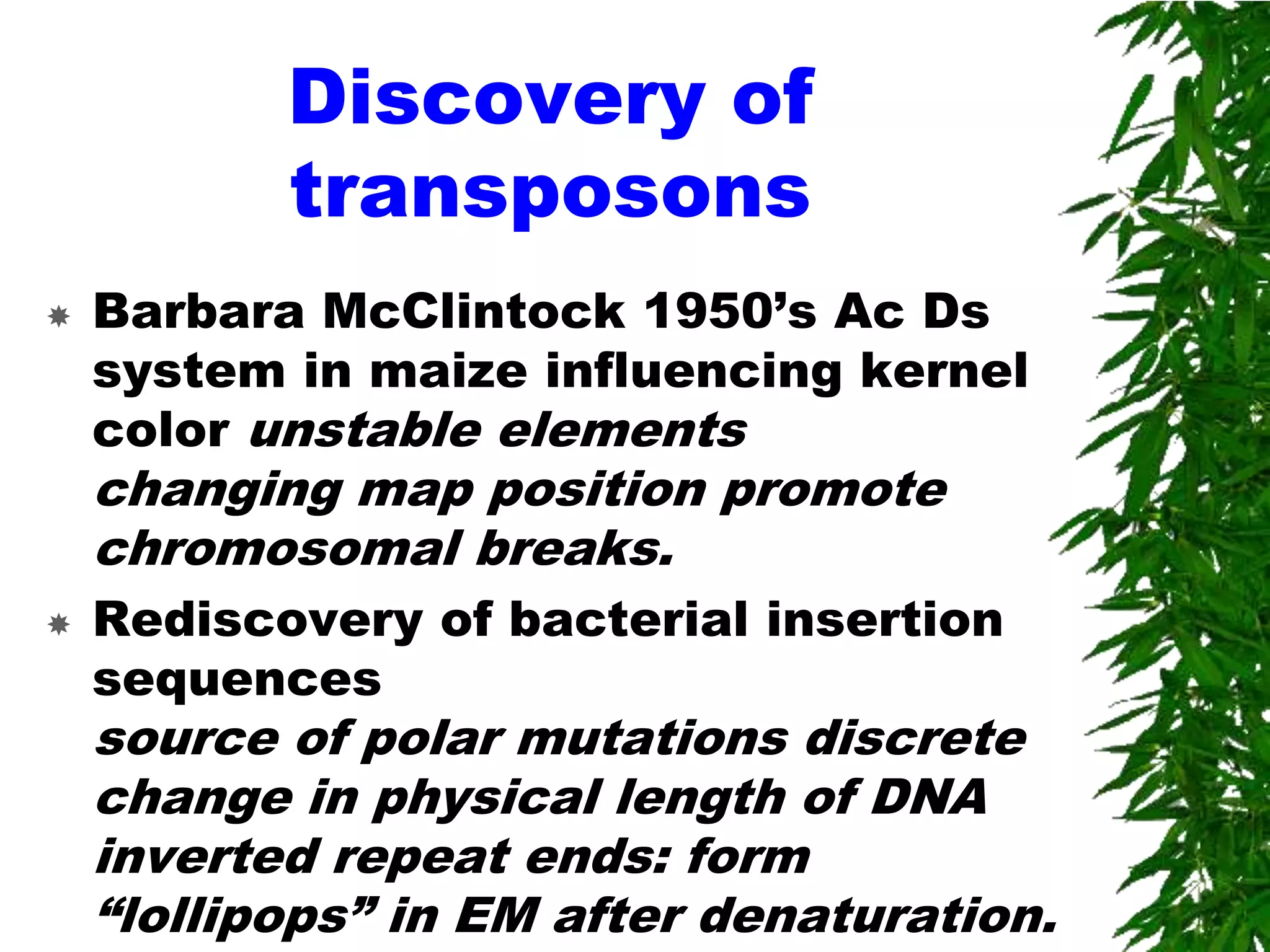 Discovery of
           transposons
   Barbara McClintock 1950’s Ac Ds
    system in maize influencing kernel
    color unstable elements
    changing map position promote
    chromosomal breaks.
   Rediscovery of bacterial insertion
    sequences
    source of polar mutations discrete
    change in physical length of DNA
    inverted repeat ends: form
    “lollipops” in EM after denaturation.
 