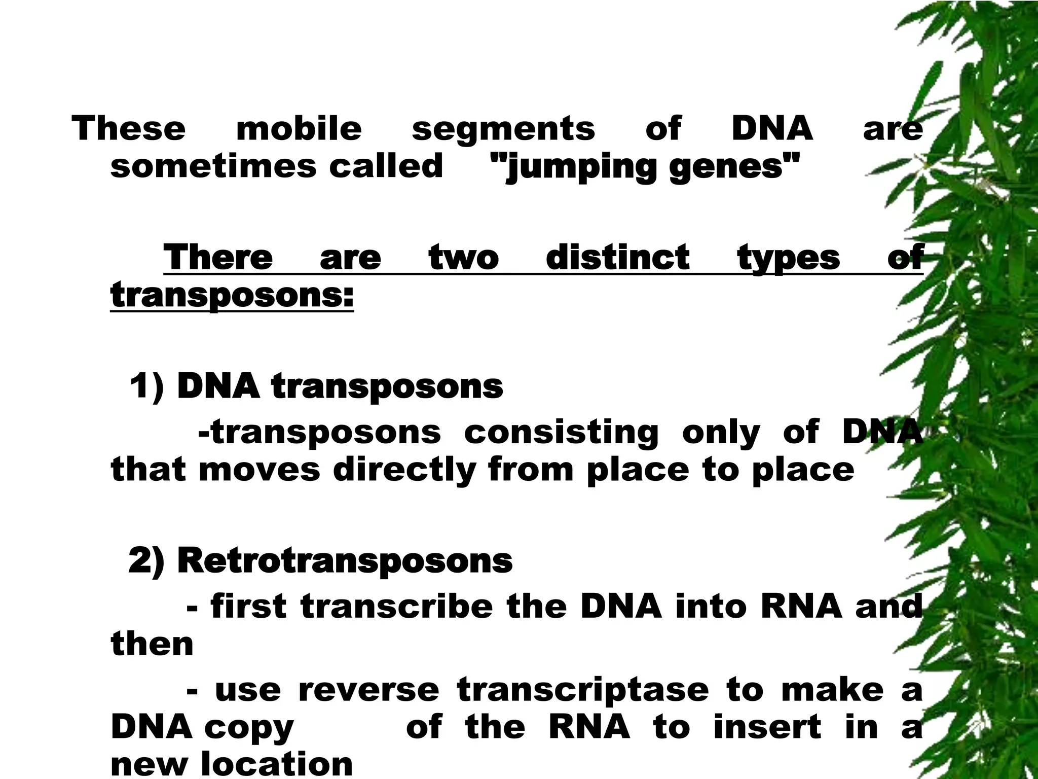 These mobile segments of DNA               are
  sometimes called "jumping genes"

    There are    two    distinct   types    of
 transposons:

  1) DNA transposons
      -transposons consisting only of DNA
 that moves directly from place to place

  2) Retrotransposons
     - first transcribe the DNA into RNA and
 then
     - use reverse transcriptase to make a
 DNA copy         of the RNA to insert in a
 new location
 