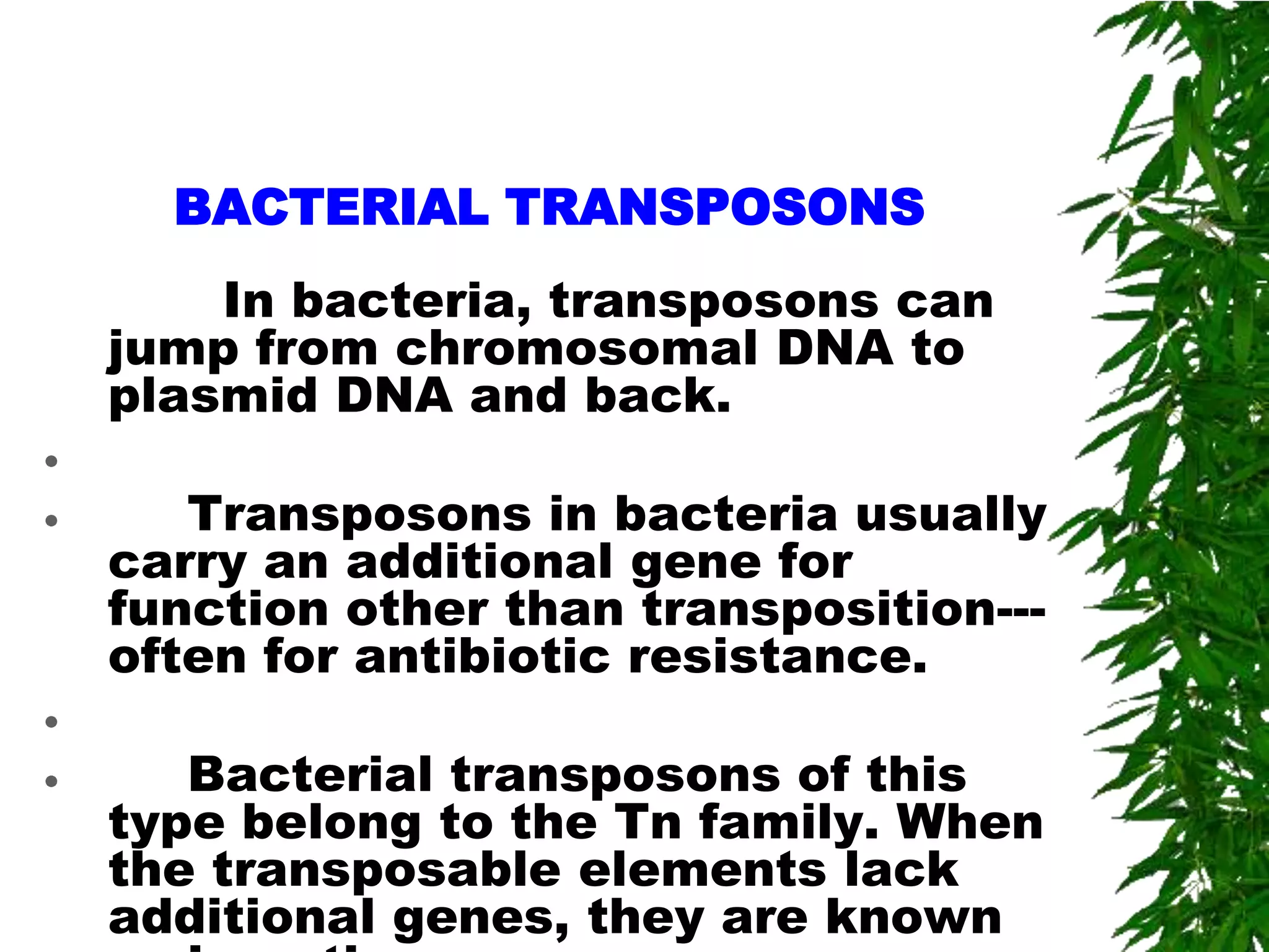 BACTERIAL TRANSPOSONS
    In bacteria, transposons can
jump from chromosomal DNA to
plasmid DNA and back.

   Transposons in bacteria usually
carry an additional gene for
function other than transposition---
often for antibiotic resistance.

   Bacterial transposons of this
type belong to the Tn family. When
the transposable elements lack
additional genes, they are known
 